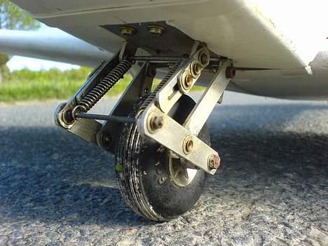 Fly Webra billede 5