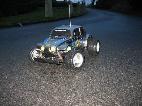 Bil blitzer beetle  billede 1