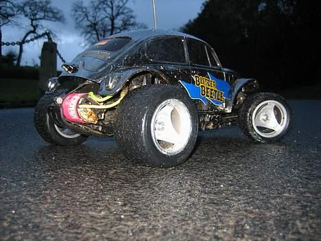 Bil blitzer beetle  billede 2