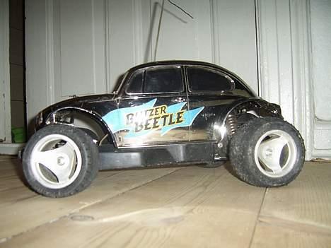 Bil blitzer beetle  billede 4
