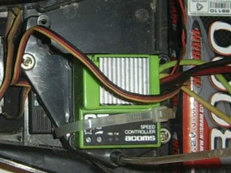 Bil blitzer beetle  billede 6