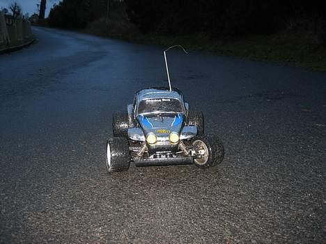 Bil blitzer beetle  billede 7