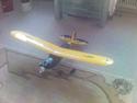 Fly piper cup