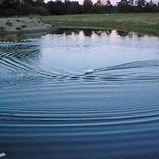 Båd robbe lightning 46 lc