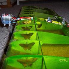 Fly Butterfly (Solgt)