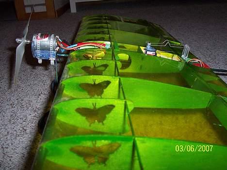 Fly Butterfly (Solgt) billede 3