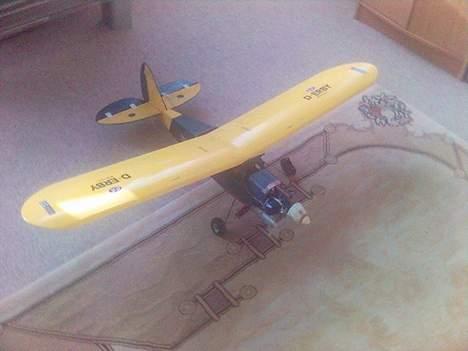 Fly piper cup  billede 2