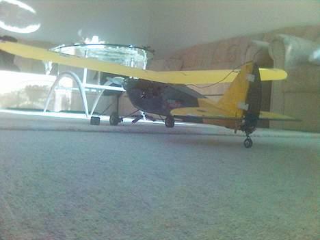 Fly piper cup  billede 4