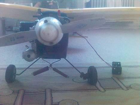 Fly piper cup  billede 9