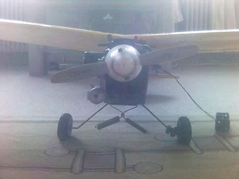 Fly piper cup  billede 10