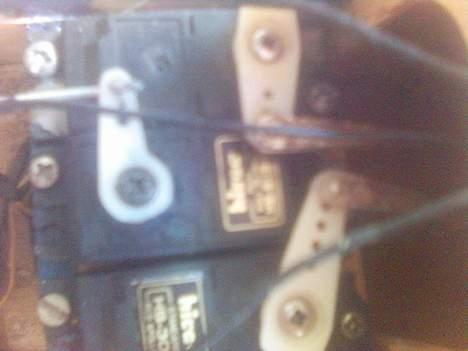 Fly piper cup  billede 11