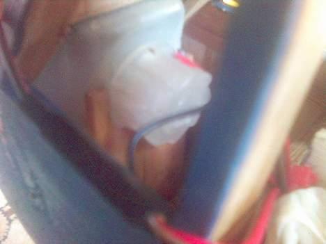 Fly piper cup  billede 14