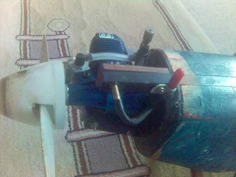 Fly piper cup  billede 17