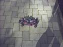 Buggy cen fun factor **SOLGT**