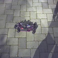 Buggy cen fun factor **SOLGT**