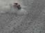 Off-Roader E-MAXX *-SOLGT-*