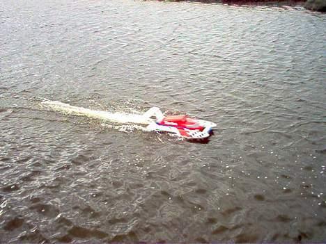 Båd feishen billede 10