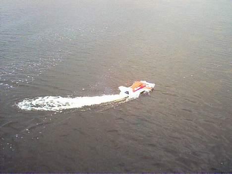 Båd feishen billede 11