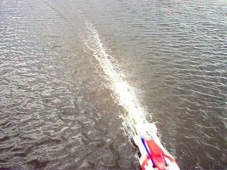 Båd feishen billede 14