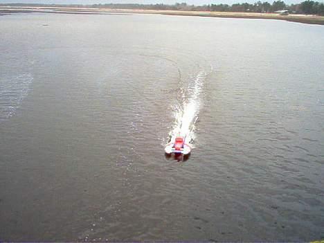 Båd feishen billede 15