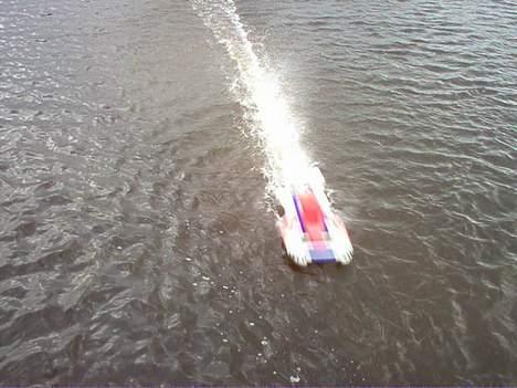 Båd feishen billede 16