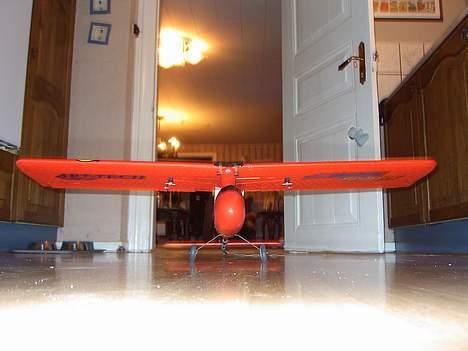 Fly wing-dragon (i stykker) billede 3