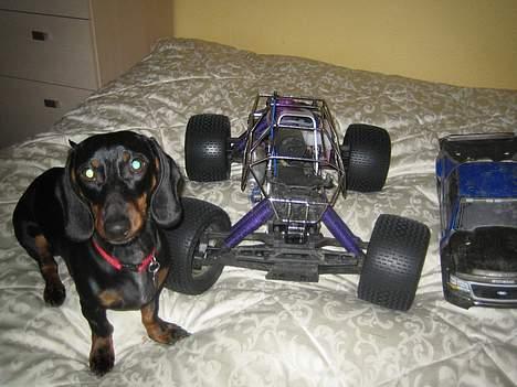 Off-Roader Savage 25LE billede 9