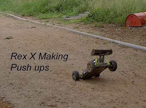 Buggy rex-x "solgt" billede 7