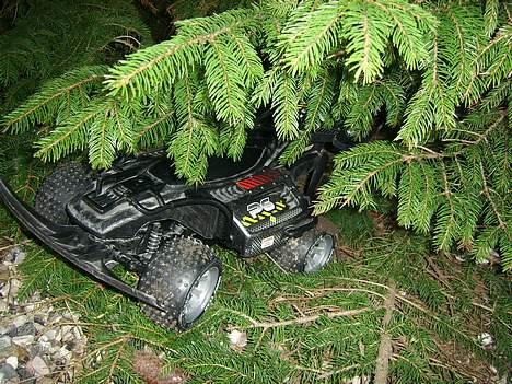 Buggy Nikko 1:10 El Offroad  - Her er så min buggy, gemt bag nogen gran grene. billede 1