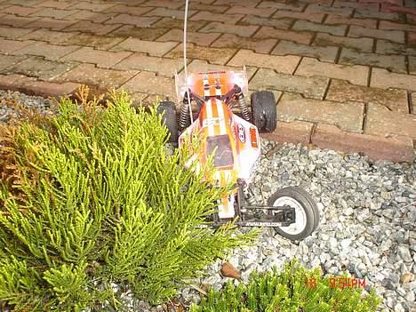 Buggy team associated b4 billede 11