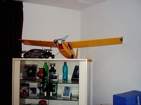 Fly  R.I.P Super Tiger billede 1