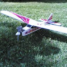 Fly Robbe trainer