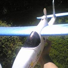 Fly Multiplex Easystar