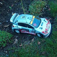 Bil Peugeot 206 wrc