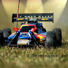 Buggy X TERMINATOR de Luxe USA