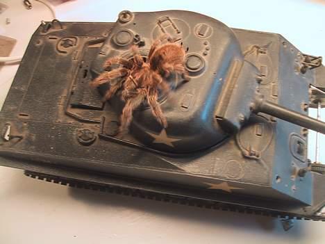 Militær Tamiya M4 Sherman tank billede 1