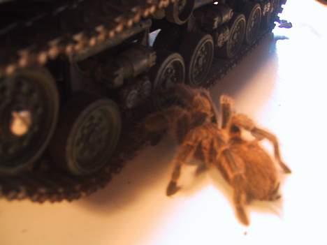 Militær Tamiya M4 Sherman tank billede 4