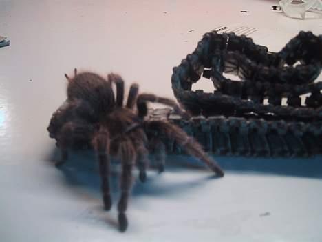 Militær Tamiya M4 Sherman tank billede 7