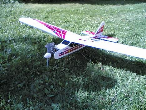Fly Robbe trainer billede 1