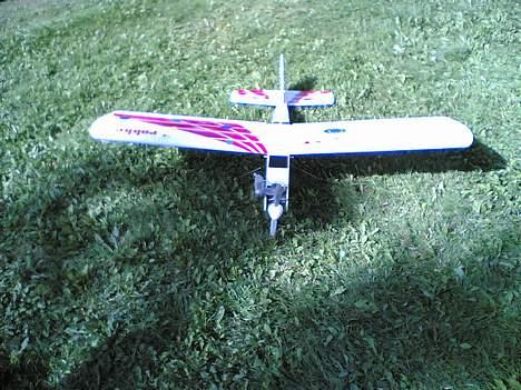 Fly Robbe trainer billede 3