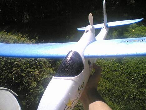 Fly Multiplex Easystar billede 1