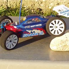 Buggy Shark 18 (Fars)