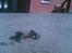 Off-Roader Traxxas Rustler/Stampede  - Sand drift!