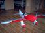 Fly gee bee sposter