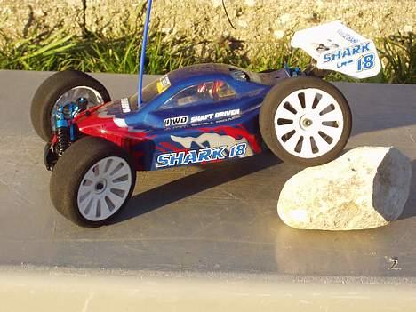 Buggy Shark 18 (Fars) billede 3