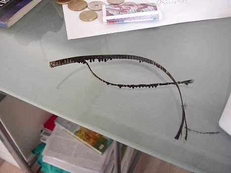 Bil picco integra - mit tandhjul ser værer ud  billede 16