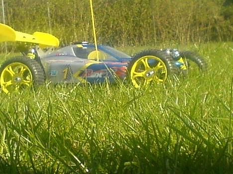 Buggy GVM Rex-x billede 4