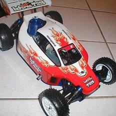 Buggy tr-15
