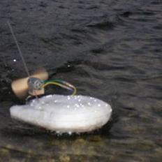 Båd  / sumpbåd