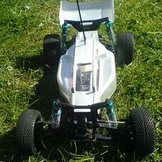 Buggy DF-03 Dark Impact